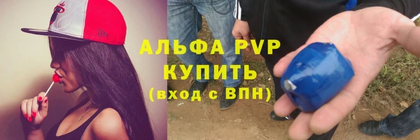 СК Белокуриха