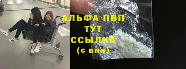 СК Белокуриха