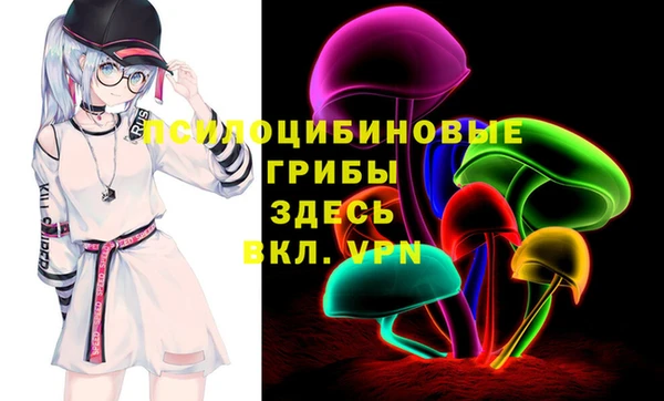 герыч Протвино